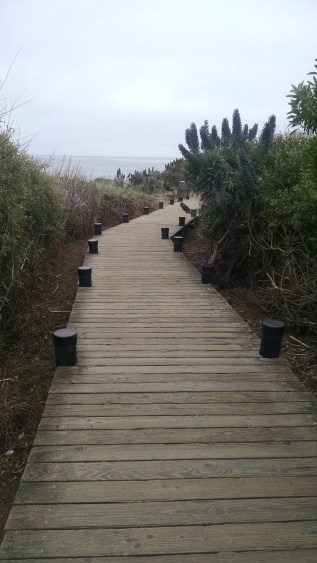 IMG_20150503_130439520